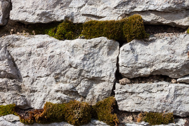 Similar image 2781325