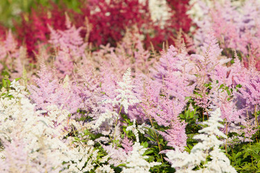 Similar image 2781331