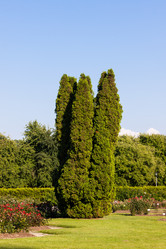 Similar image 2781333