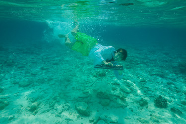 Similar image 2781345