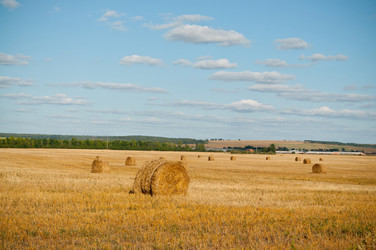 Similar image 2781380