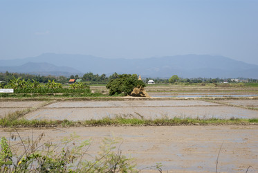 Similar image 2781394