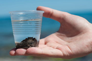 Similar image 2781659