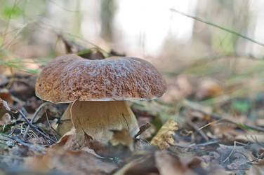 Similar image 2781660