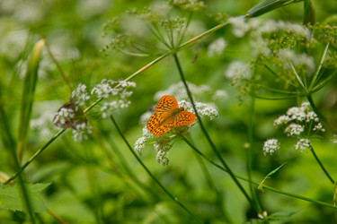 Similar image 2781741