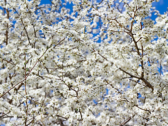 Similar image 2782245