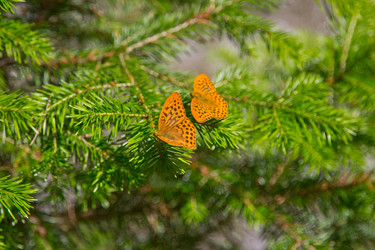 Similar image 2782283