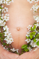 Similar image 2782310