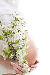 Similar image 2782315