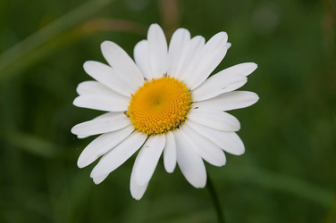 Similar image 2782595