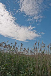 Similar image 2782596