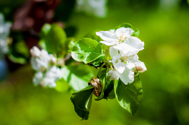 Similar image 2782599