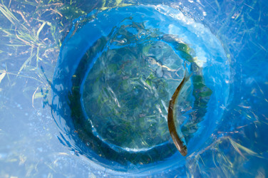 Similar image 2782600