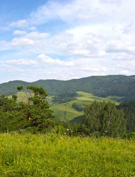 Similar image 2782710