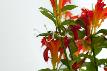 Similar image 2782780