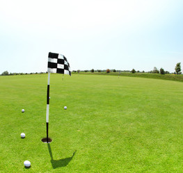 Similar image 2783026