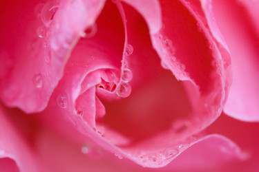 Similar image 2783151