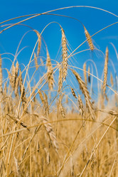 Similar image 2783217