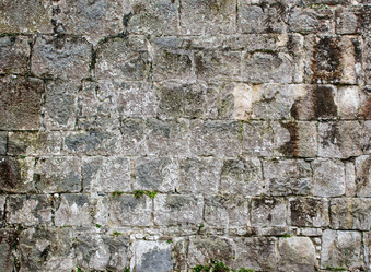 Similar image 2783262