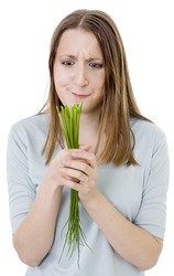 Similar image 2783448