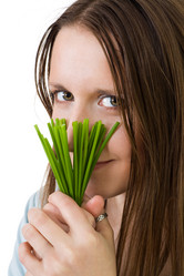 Similar image 2783449