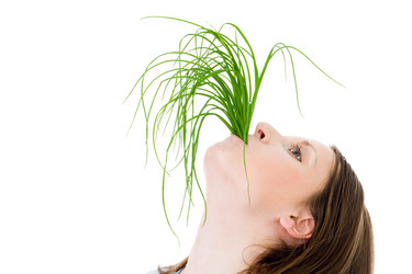 Similar image 2783460