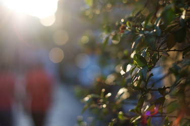 Similar image 2783519