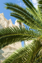 Similar image 2783520