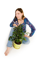 Similar image 2783537