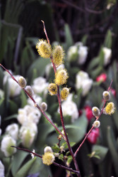 Similar image 2783583