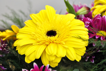 Similar image 2783584