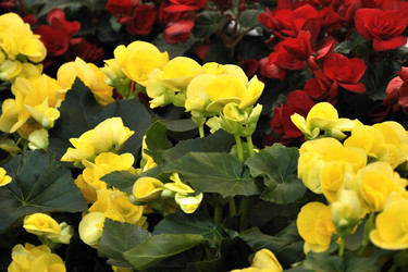 Similar image 2783585