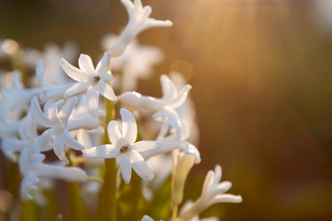 Similar image 2783587