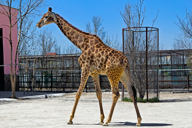 Similar image 2783661