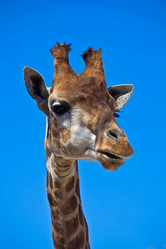 Similar image 2783662