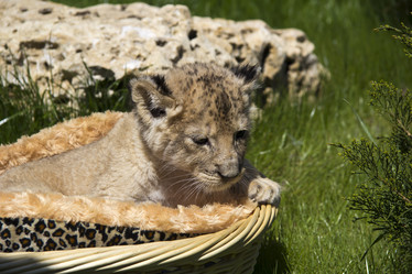 Similar image 2783682