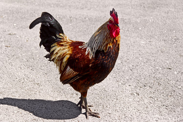 Similar image 2783689