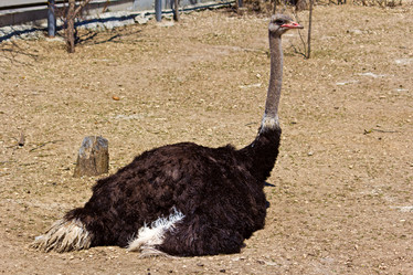 Similar image 2783694