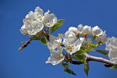 Similar image 2783698