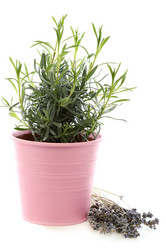 Similar image 2783783