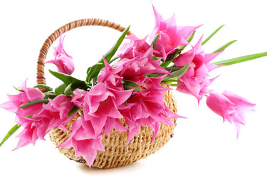 Similar image 2783784