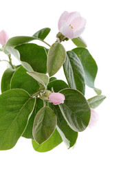 Similar image 2783821