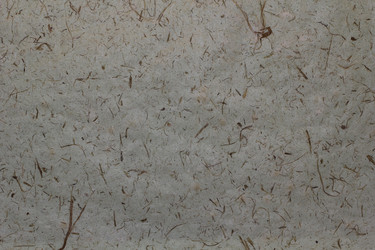 Similar image 2783966