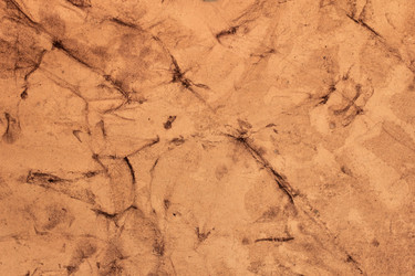 Similar image 2783972