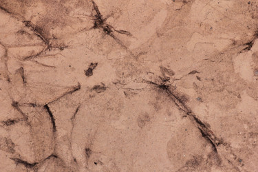 Similar image 2783973