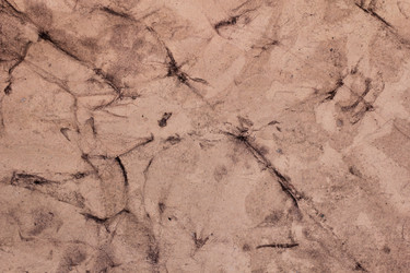 Similar image 2783974