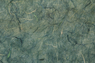 Similar image 2783980