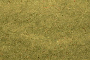 Similar image 2783982