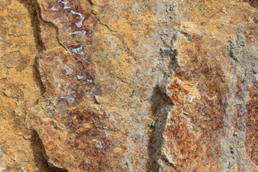 Similar image 2783984