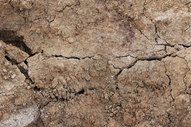 Similar image 2784008